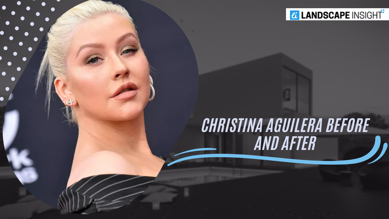 Christina Aguilera Before and After