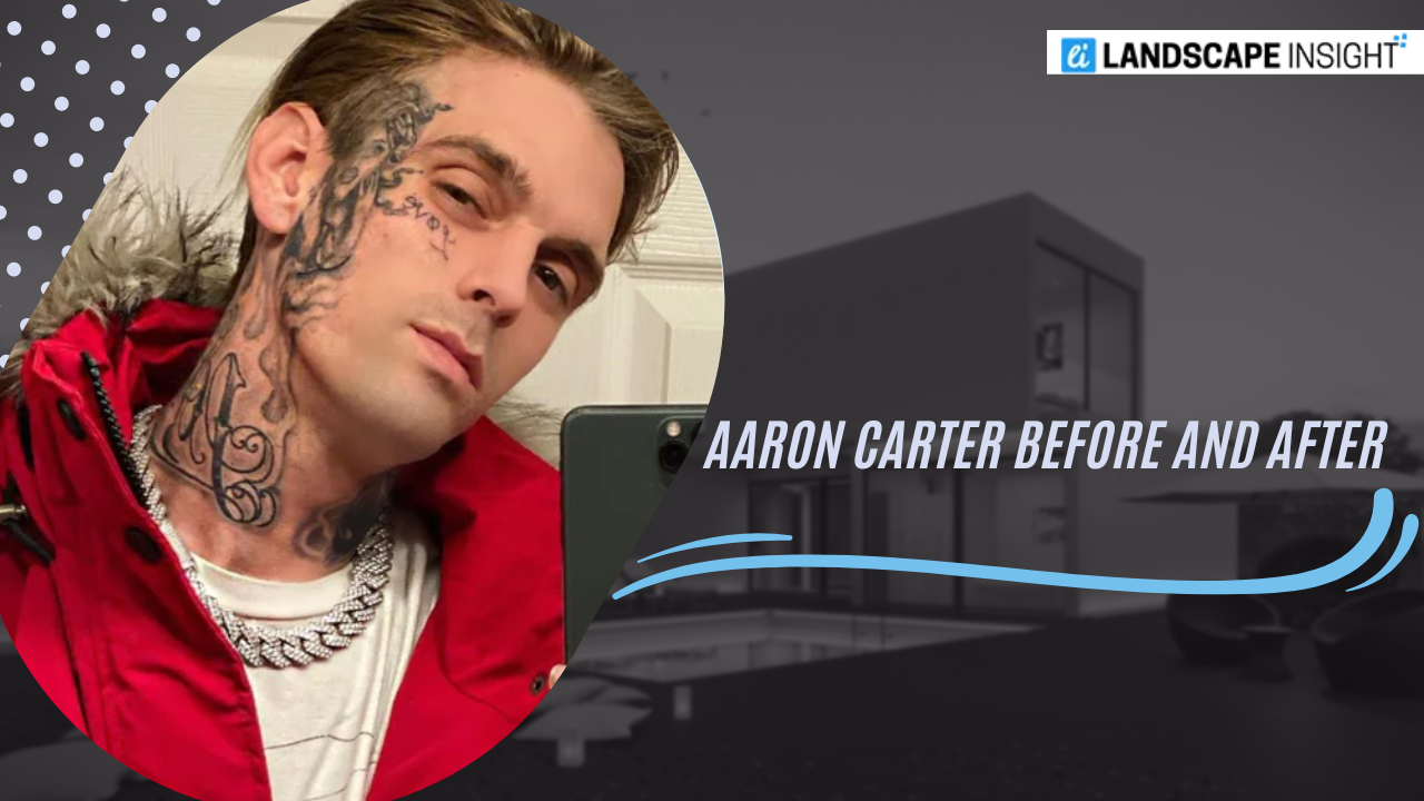 Aaron Carter Before and After