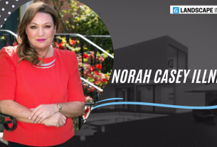 Norah Casey Illness