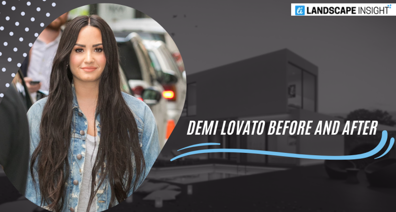 Demi Lovato Before and After