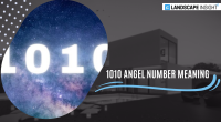 1010 angel number meaning