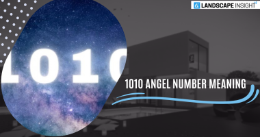 1010 angel number meaning