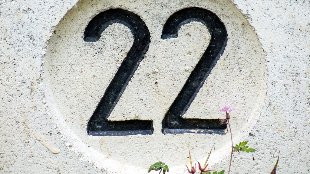22 angel number meaning