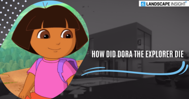 HOW DID DORA THE EXPLORER DIE