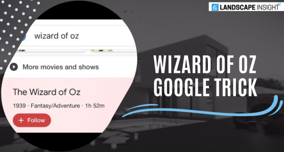 wizard of oz google trick