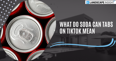 What Do Soda Can Tabs On Tiktok Mean