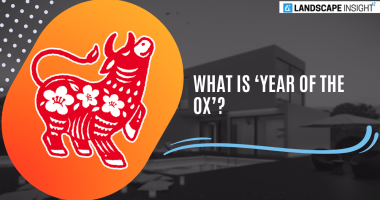 What Is ‘Year Of The Ox’? Check How Instagram Celebrates The Chinese New Year!