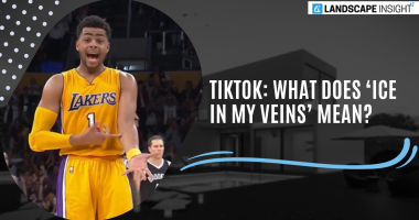 Tiktok: What Does ‘Ice In My Veins’ Mean?