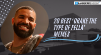 20 Best ‘Drake The Type Of Fella’ Memes