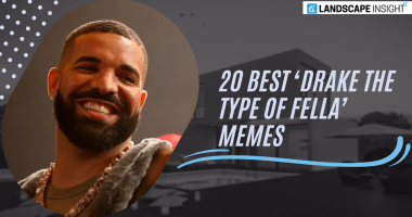 20 Best ‘Drake The Type Of Fella’ Memes