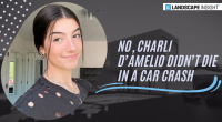 No, Charli D’amelio Didn’t Die In A Car Crash