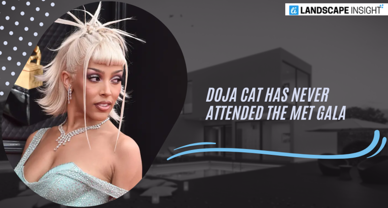 Doja Cat Has Never Attended The Met Gala