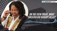 On the View Today, What Sweater Did Whoopi Wear?