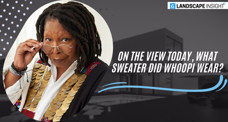 On the View Today, What Sweater Did Whoopi Wear?