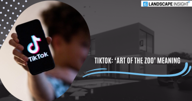 TIKTOK: ‘ART OF THE ZOO’ MEANING