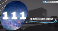 111 angel number meaning