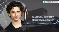 Is Timothée Chalamet Taller Than Zendaya? Rumors Exposed!