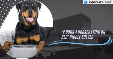 ‘2 Dogs 4 Horses Lying on Bed’ Riddle Solved!
