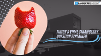 TikTok's Viral Strawberry Question Explained:
