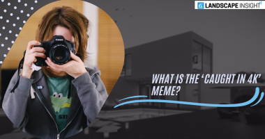 What Is the ‘Caught in 4K’ Meme?