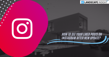 How to See Your Liked Posts on Instagram After New Update?
