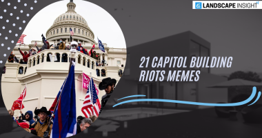 21 Capitol Building Riots Memes