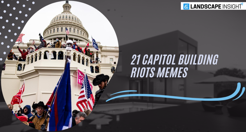 21 Capitol Building Riots Memes