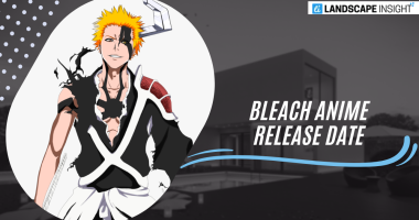 bleach anime release date