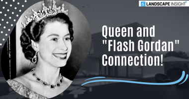 Queen and "Flash Gordan" Connection