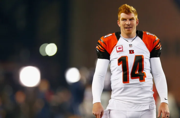 andy dalton net worth