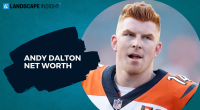 andy dalton net worth