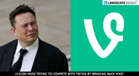 Is Elon Musk Trying to Compete with TikTok by Bringing Back Vine?