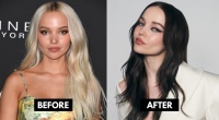 Dove Cameron Before and After