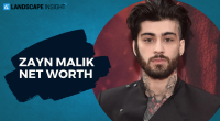 zayn malik net worth