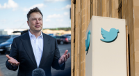 Elon Musk To Resign as Twitter CEO, Says "I Need Someone Foolish Enough to Take the Job"