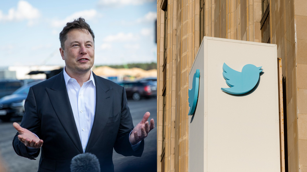 Elon Musk To Resign As Twitter Ceo Says I Need Someone Foolish Enough To Take The Job 5411