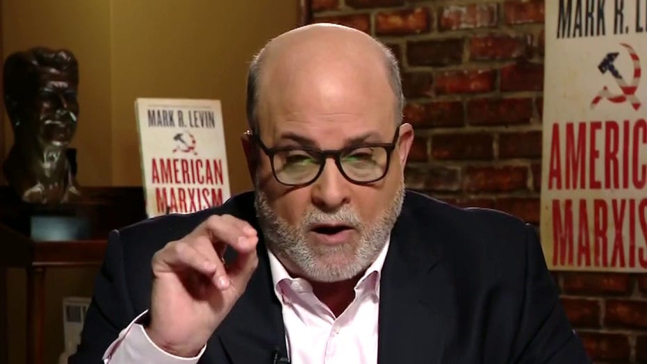 Impact of Mark Levin's Illness on His Career
