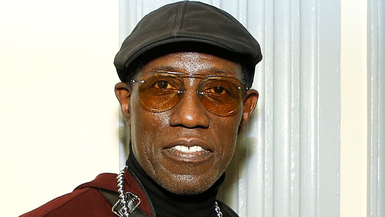 Wesley Snipes Health Update- What Is The Absolute Cause Of His Illness?