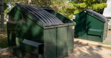 Backyard Clean-up: To Dumpster or Not to Dumpster?