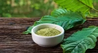 Is White Kali Kratom Powder Worth Investing in For the Beginners?