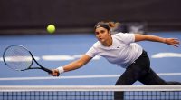 Grass Court Glories: Indian Tennis Players and Their Performances on Grass