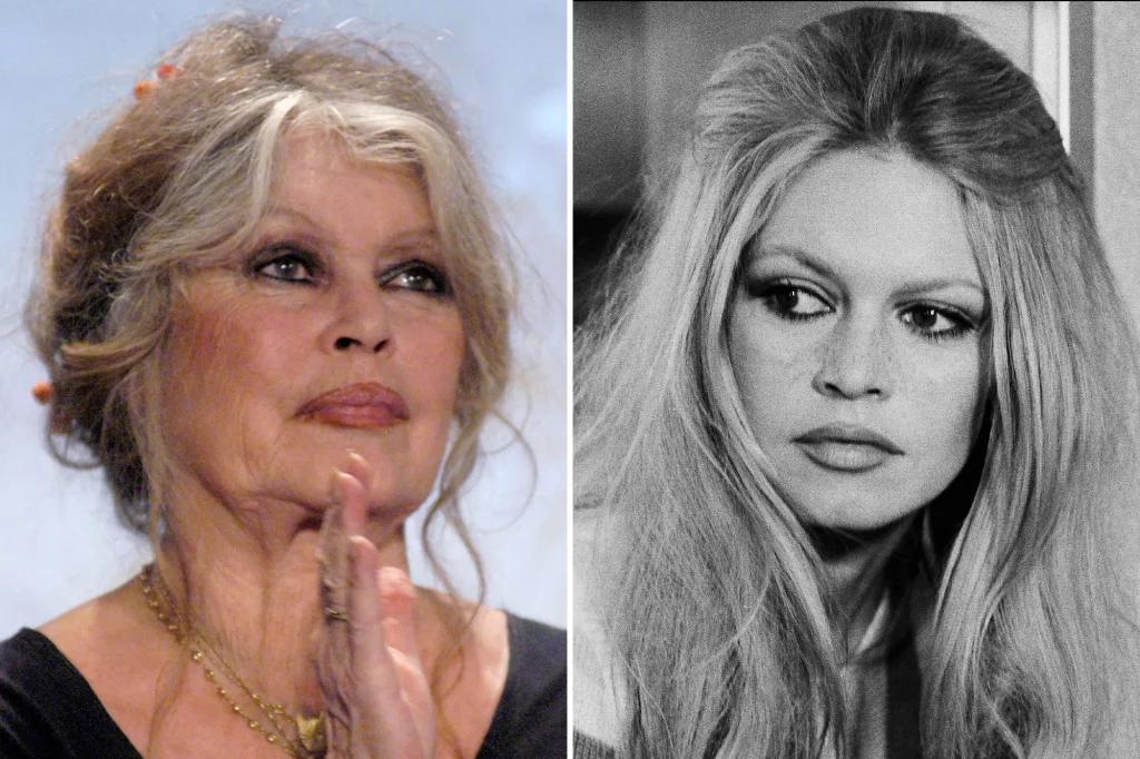 Brigitte Bardot: Awards And Honors