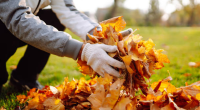 How to Prepare Your Lawn for Winter: Tips from Naperville Specialists