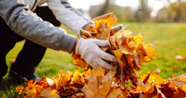 How to Prepare Your Lawn for Winter: Tips from Naperville Specialists