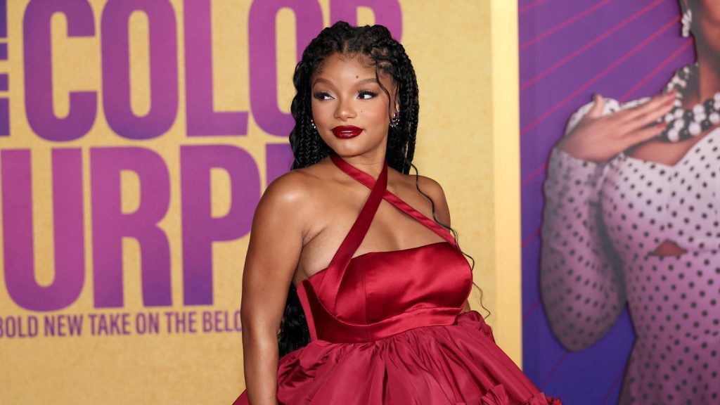 Halle Bailey opens up about her decision to have a private pregnancy