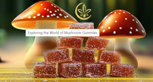 Legal Considerations: Mushroom Gummies and THC