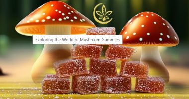 Legal Considerations: Mushroom Gummies and THC