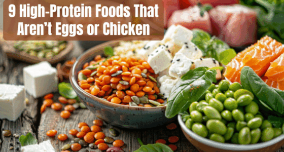 high protein foods