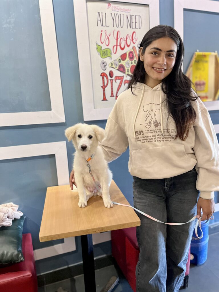 About Me 2 Anjali Photo 2025 Anjali Photo