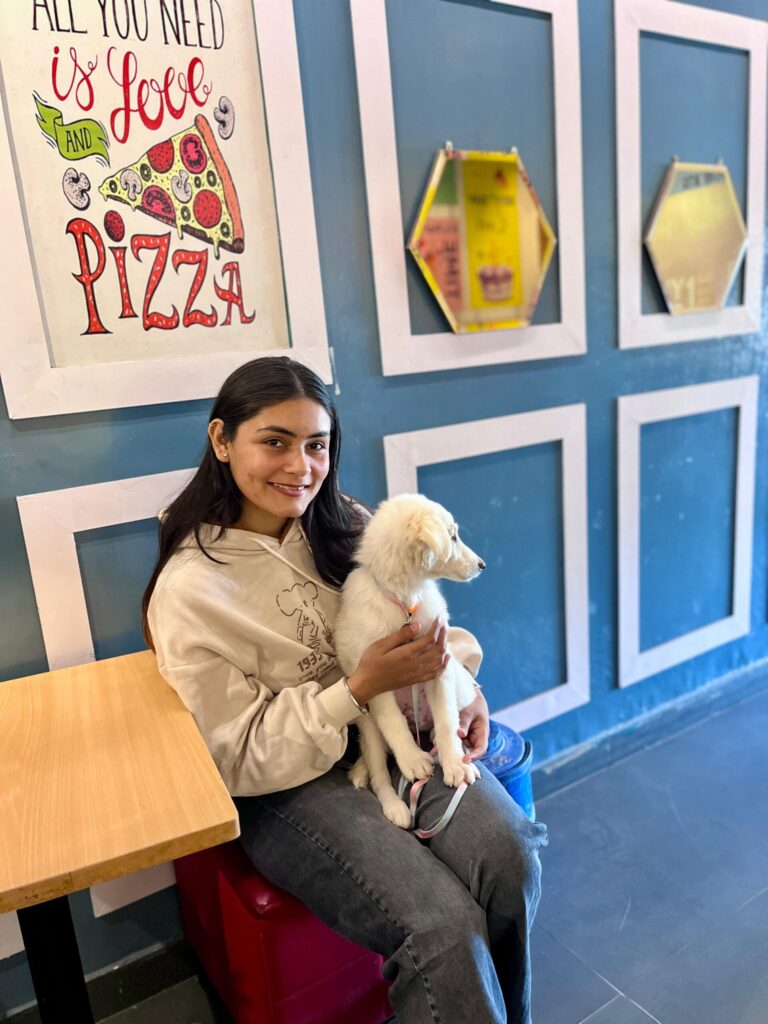 About Me 3 anjalidramatically stirring 2025 anjalidramatically stirring